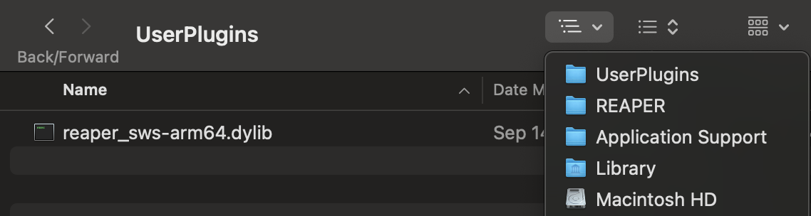 The dylib in the UserPlugins folder