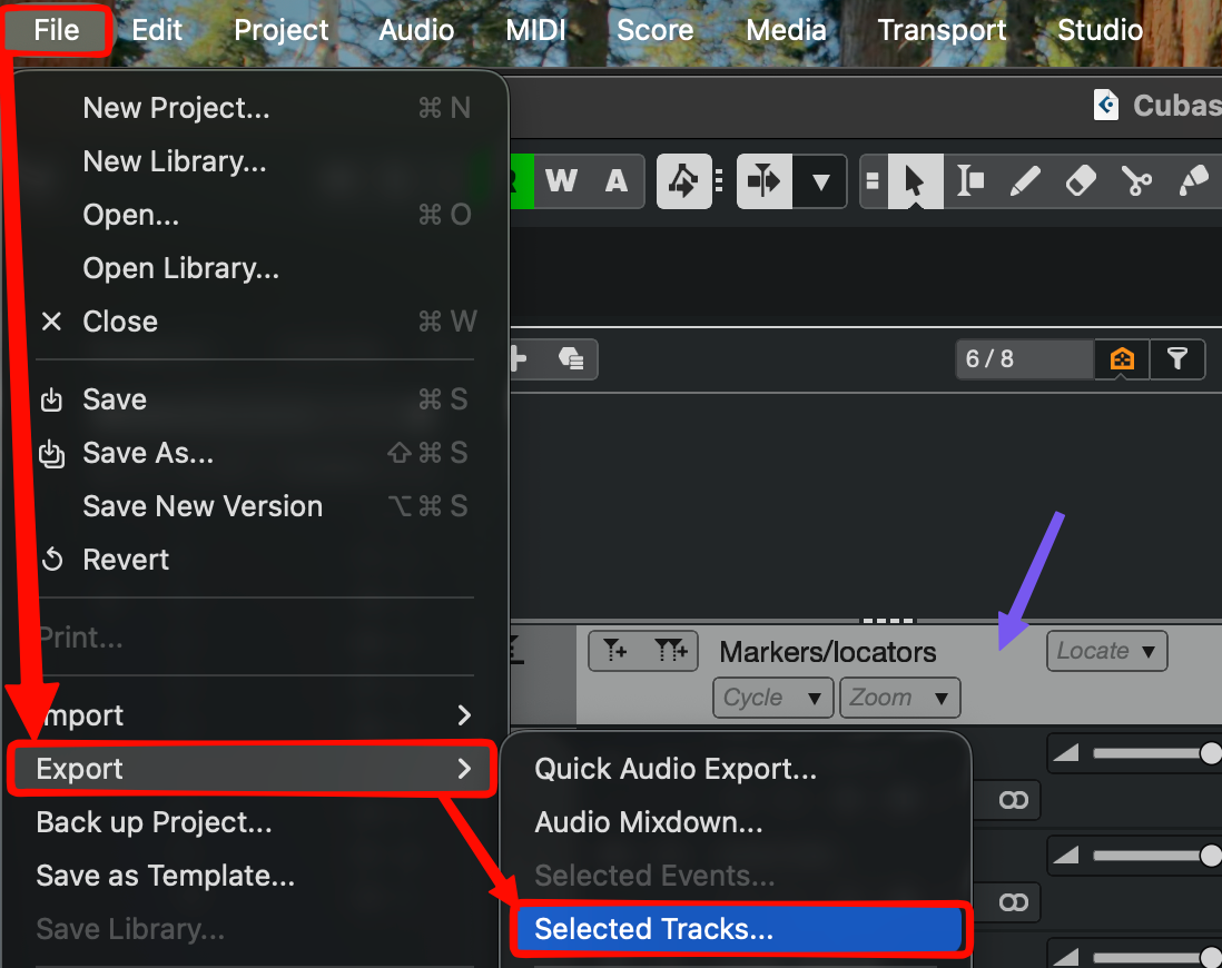 Cubase File → Export → Selected Tracks, with the Markers/locators track selected