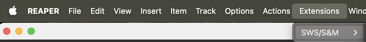 The SWS/S&amp;M entry in the Extensions menu