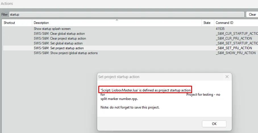 Confirmation that the script is defined as project startup action