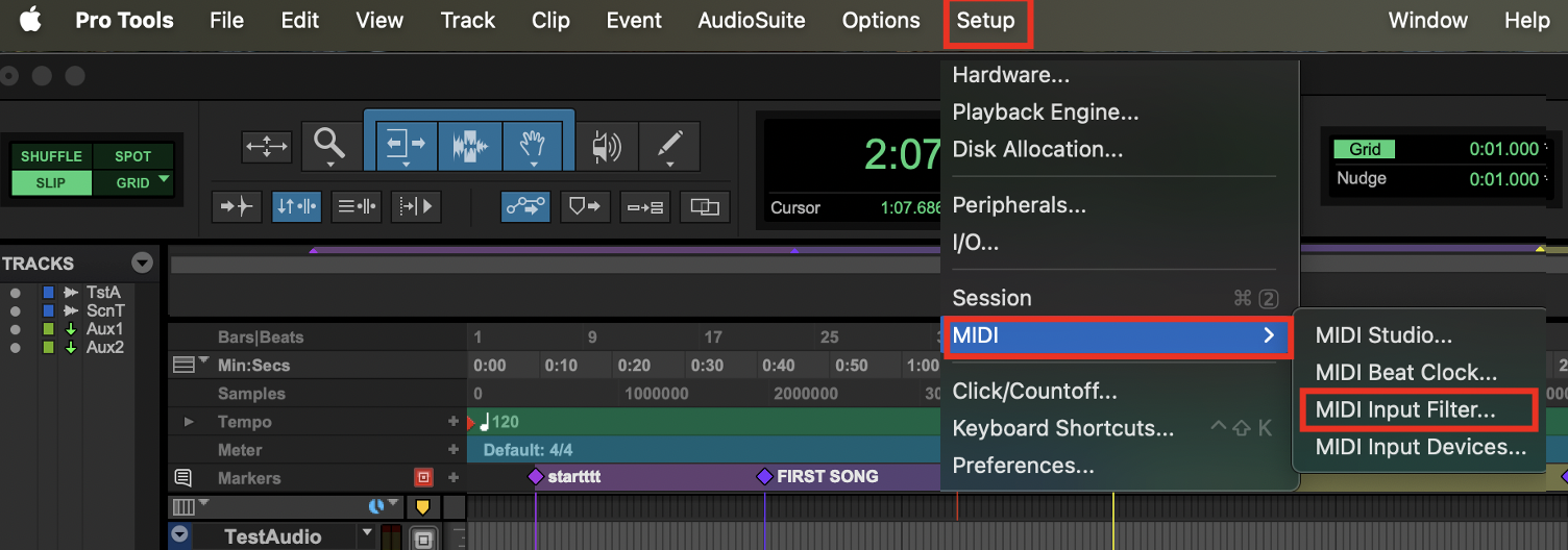 Pro Tools Setup → MIDI → MIDI Input Filter