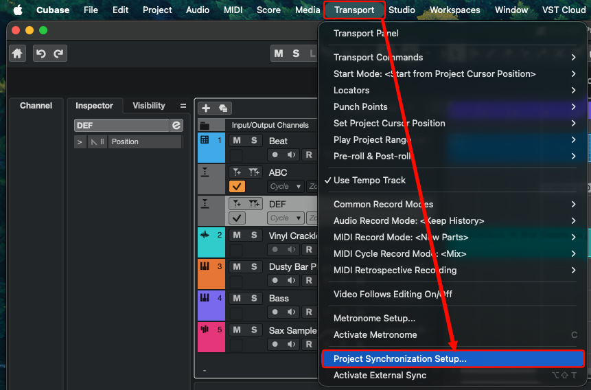 Transport → Project Synchronization Setup